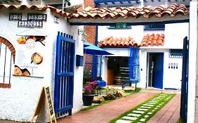 Aloha Hostel